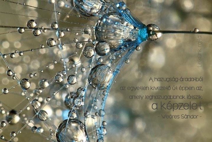 Weöres-Sándor-idézet-képzelet